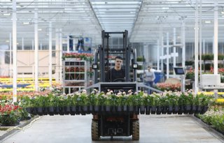 Bijdrage tuinbouw aan Nederlandse economie stijgt naar bijna 3 procent
