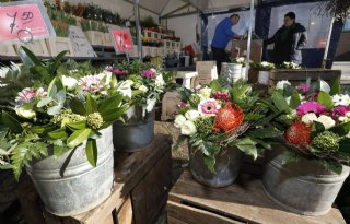 Aanhoudend hoge inflatie werkt door naar verkoop bloemen en planten