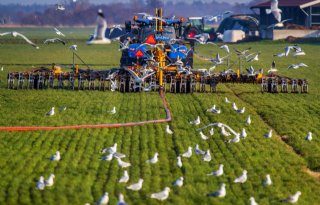 NVWA controleert extra op uitrijden van mest