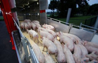 Europese enquêtecommissie diertransporten van start
