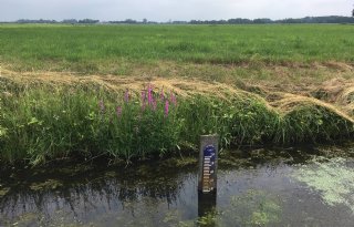 Fries waterschap verhoogt peil in poldersloten