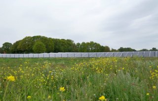 Geen stop op zonneparken op Overijsselse landbouwgrond