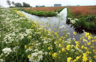 Wetterskip Fryslân wijzigt onderhoudsplicht