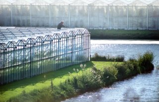 Glastuinbouw Waterproof start drie nieuwe projecten