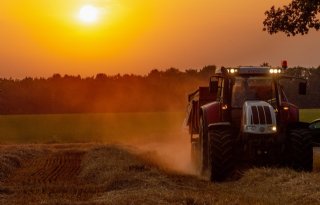 Amerikaanse raming leidt val tarweprijs in