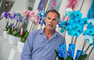 Joflor in Naaldwijk geeft orchidee een kleurtje
