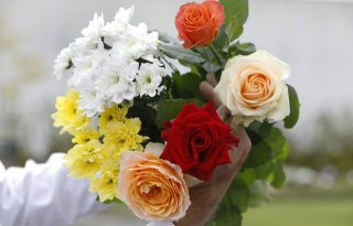 'Bloemenverkoop op internet stijgt 7 procent'