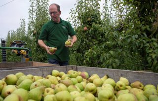 Limburgse telers doneren fruit aan Sri Lanka