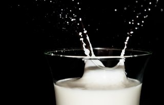 Lichte stijging Europese melkprijs januari