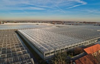 Glastuinbouw Nederland start petitie tegen stroomtaks