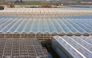 Glastuinbouw Nederland ontkent ontduiking ETS