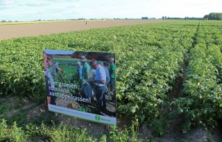 Bio heeft voldoende pootgoed voor 100 procent robuust