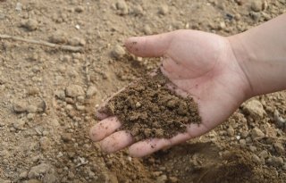 'Goede mulchlaag beschermt bodem'