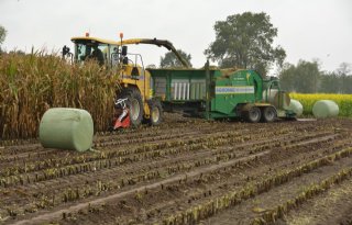 Mais in één werkgang in het pak van het land