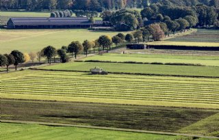 Nederlander bezorgd over verlies agrarisch landschap