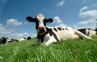Fonds financiert 'beter boeren voor klimaat, boer en dier'