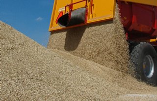 Lagere wereldproductie aan tarwe laat noteringen stijgen