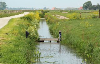 Meer ruimte voor groen en water in Utrecht-Zuidwest