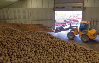 Agrifirm introduceert Bewaar Coach voor aardappelen