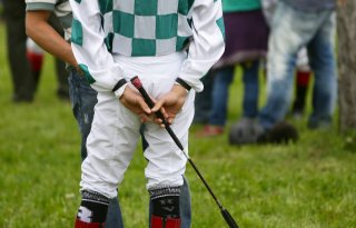 Dier&amp;Recht start petitie tegen bitten en zwepen in paardensport