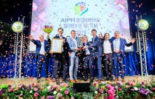 Anthura is International Grower of the Year 2020