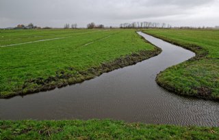 Sector tegen extra nieuwe natuur Noord-Holland