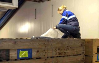 BO Akkerbouw beëdigt 27 aardappelkeurmeesters