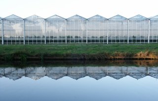 Goed gietwater belangrijk voor duurzame productie glastuinbouw