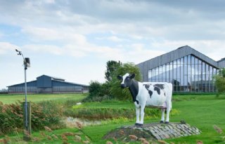 Dairy Campus test effect magnesiumchloride op ammoniakemissie