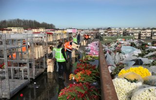 Schouten opnieuw naar Brussel voor steun sierteeltsector