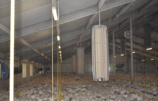 Sectorplan fijnstofaanpak pluimvee gericht op gezondheidswinst
