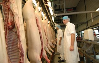Varkenshandelaar%3A+%27Slachtproces+Vion+Groenlo+had+moeten+worden+afgemaakt%27