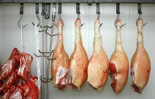 Vleesproducent JBS helpt Amerikaanse varkenshouder