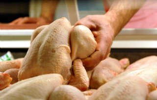 Oost-Europa overspoelt de markt voor pluimveevlees