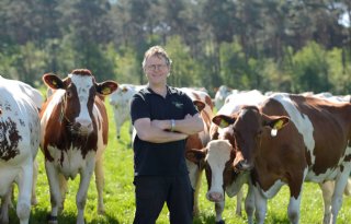 Wil Meulenbroeks: 'Stikstofplafond nog opgave melkveehouderij'