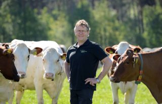 LTO Melkveehouderij: 'Wij willen derogatie behouden'