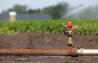 Stevig gesprek LTO, Natuurmonumenten en waterschap over ‘waterdiefstal’