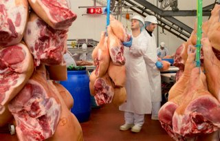 Nederland grootste vleesexporteur Europese Unie