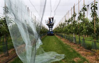 Fruitteler in Houten vreest dat hagelbuien toenemen door zonnepark