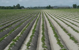 Groningen mikt bij verduurzamen op agrarisch peloton