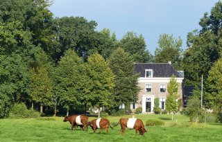 Roep om landgoedpilots in Friese veenweide