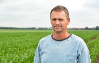 Melkveehouder De Jong: 'Mais nóg een keer overzaaien heeft geen zin'