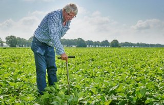 AgroProeftuin De Peel test gewassen voor biobased economie