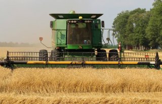 Minder angst voor escalatie in Oekraïne doet tarweprijs dalen