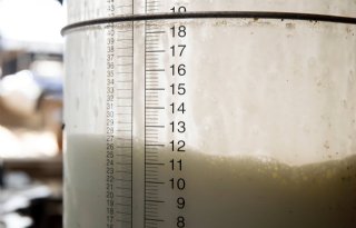 EU produceert 4,3 procent meer biologische melk
