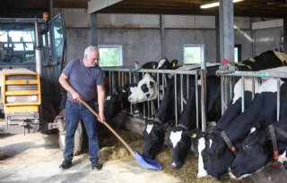 'Koe heeft baat bij rem op de melkgift voor de droogstand'