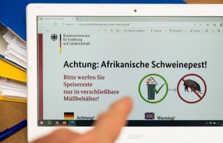 Varkenspestbesmetting Vogelsang is vierde in Duitsland
