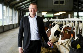 Rabobank noemt verdienmodel dé uitdaging voor melkveehouder