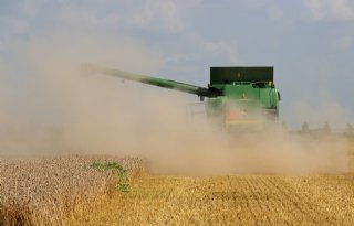 Wereldwijd meer tarwe en mais beschikbaar