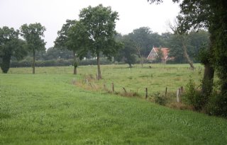Boeren Noord-Holland ageren tegen beleid duurzaam natuurbeheer